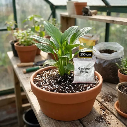 Paradise perlite soil conditioner - garden