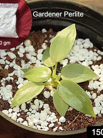 Paradise Perlite Soil Conditioner