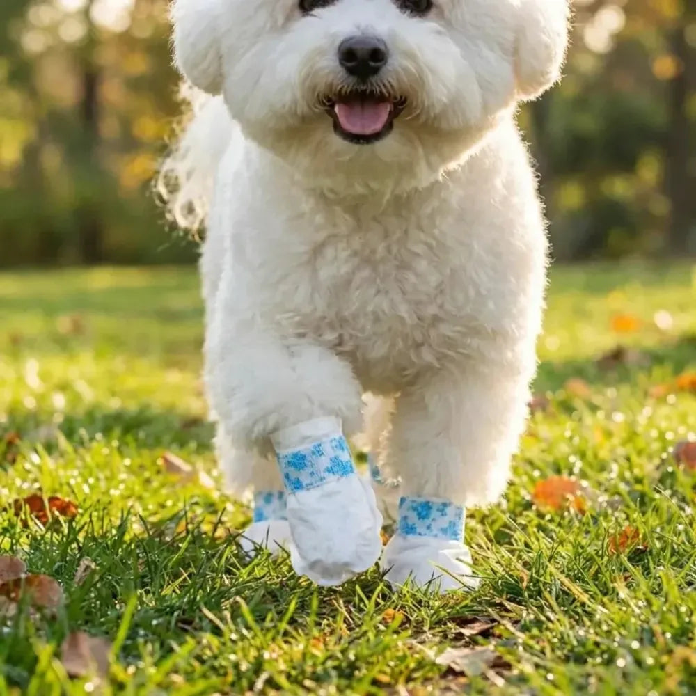 Pawpocket waste scoops