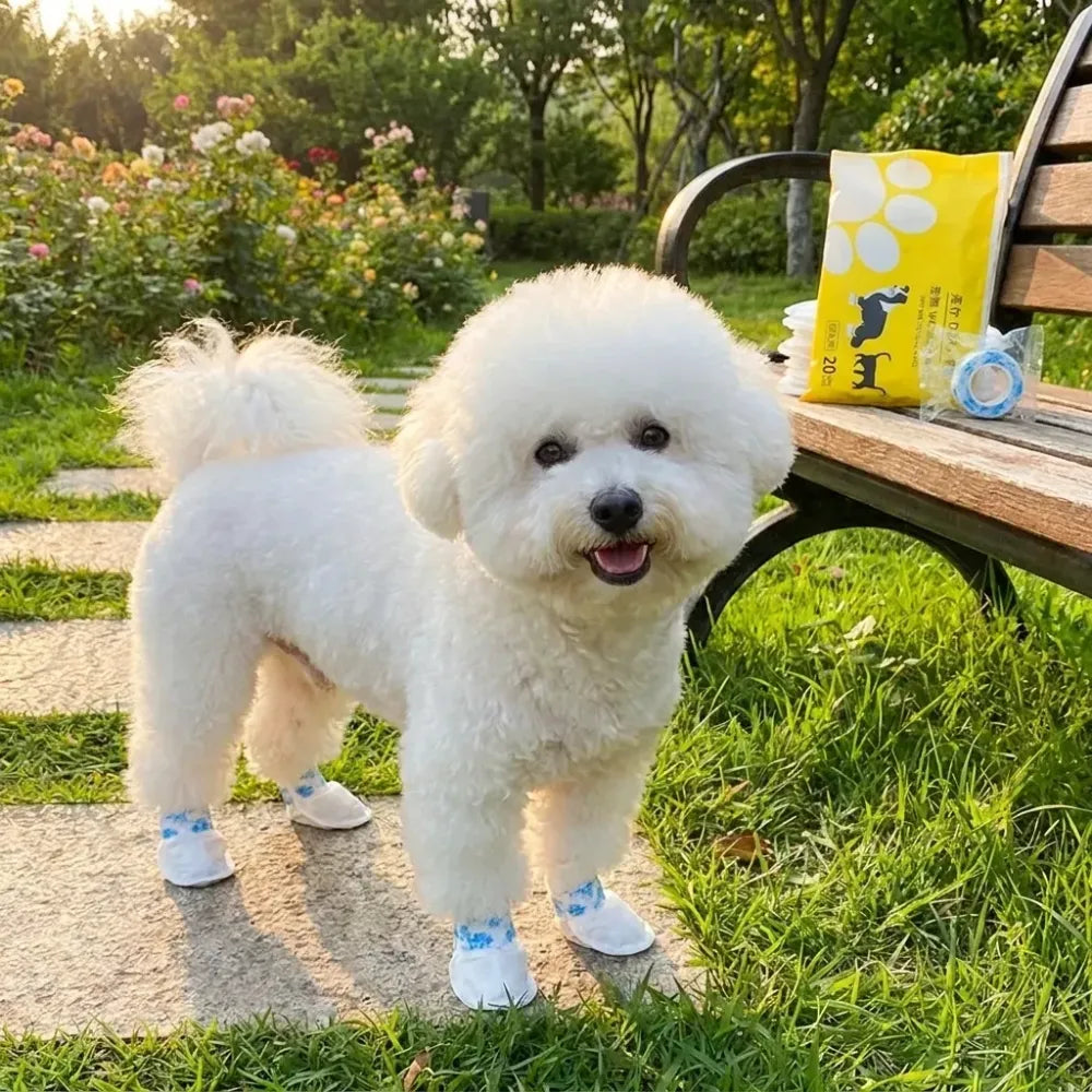 Pawpocket waste scoops