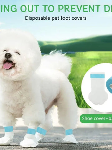 PawPocket Waste Scoops