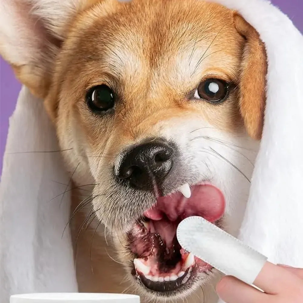 Pet dental finger wipes – 50 pcs