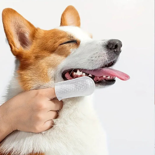 Pet dental finger wipes – 50 pcs