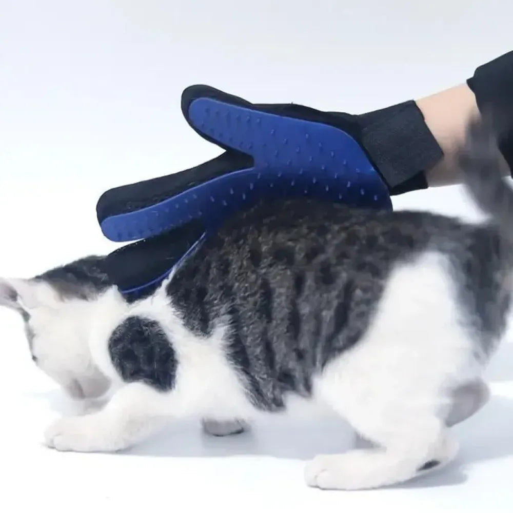 Pet grooming gloves