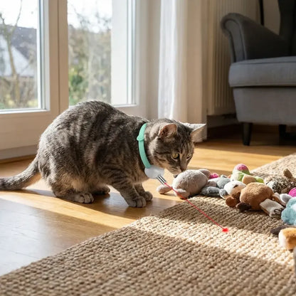 Pet laser collar self teasing toy