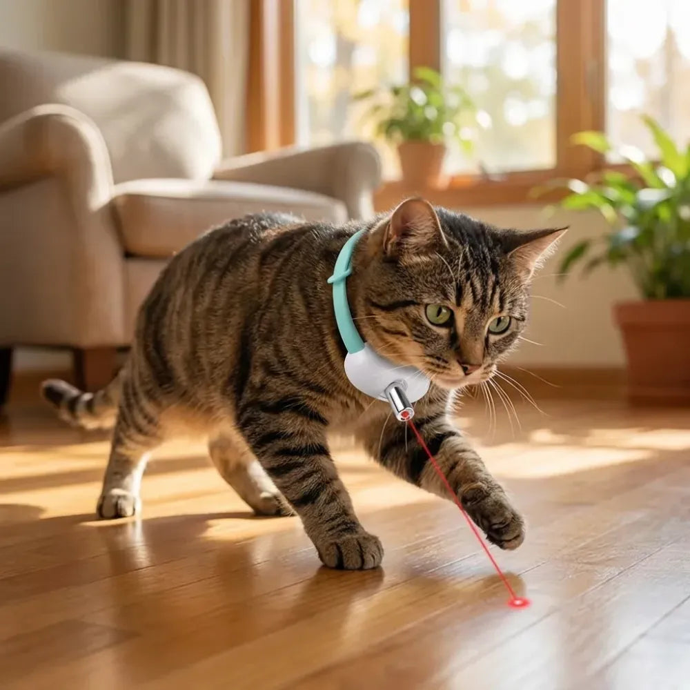 Pet laser collar self teasing toy