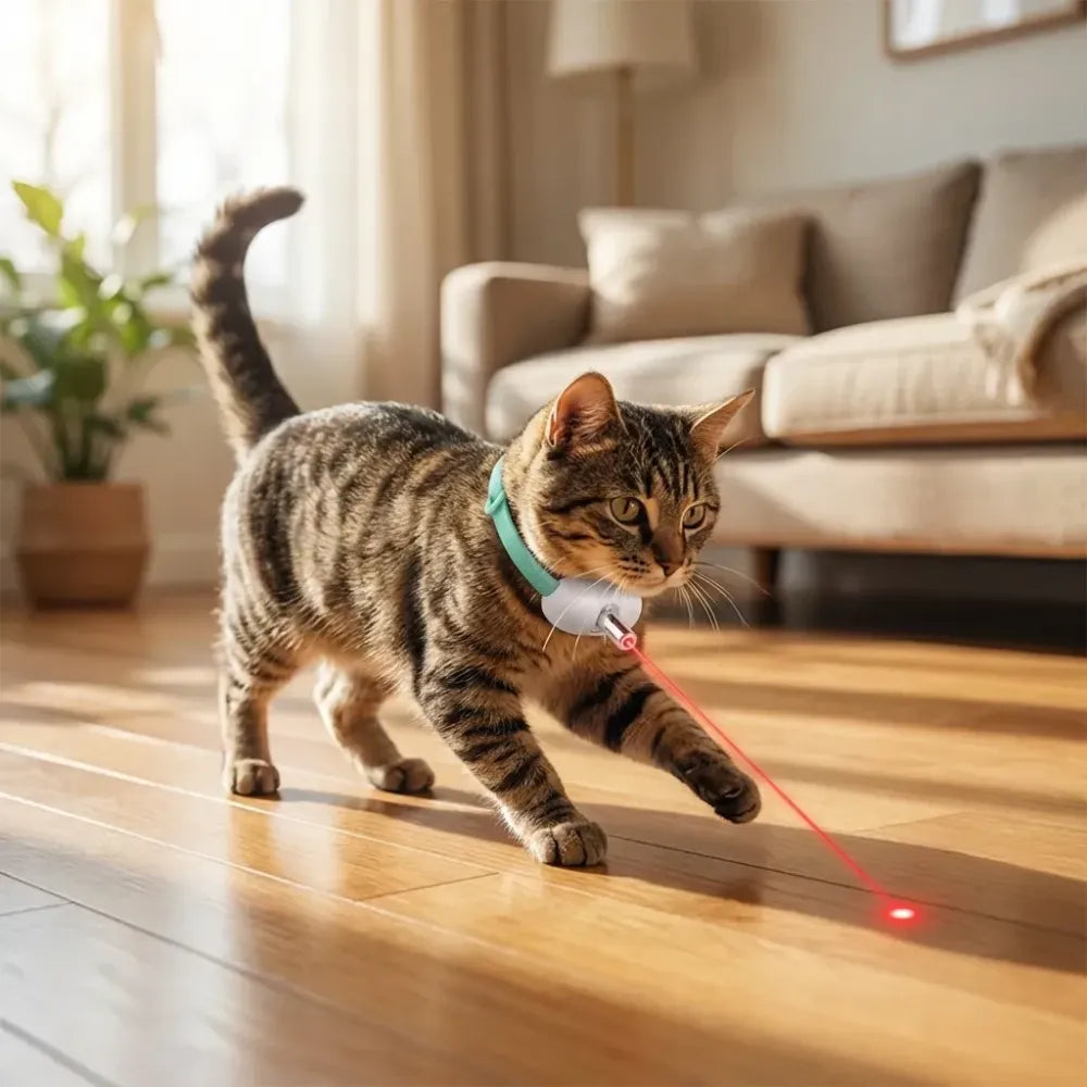 Pet laser collar self teasing toy