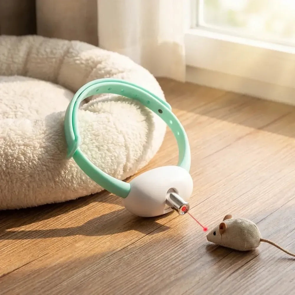 Pet laser collar self teasing toy