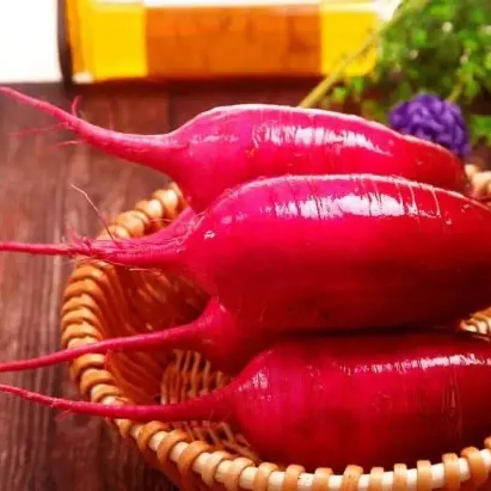 Pineapple radish seeds - gardening