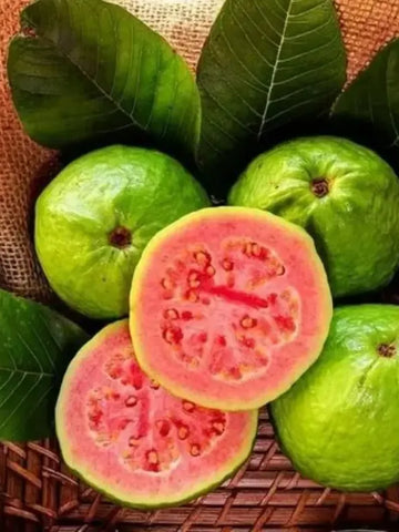 Pink Guava Seeds (20)
