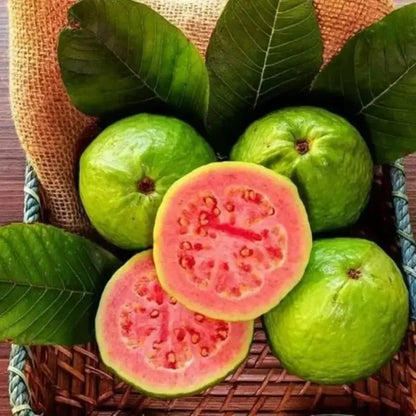 Pink guava seeds (20) - gardening