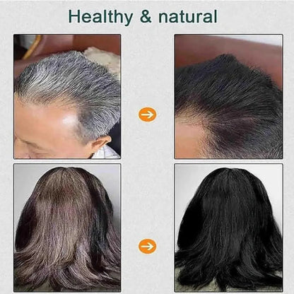 Plant based hair coloring cream – pack of 2