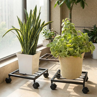 Plant caddy with wheels - home essentials
