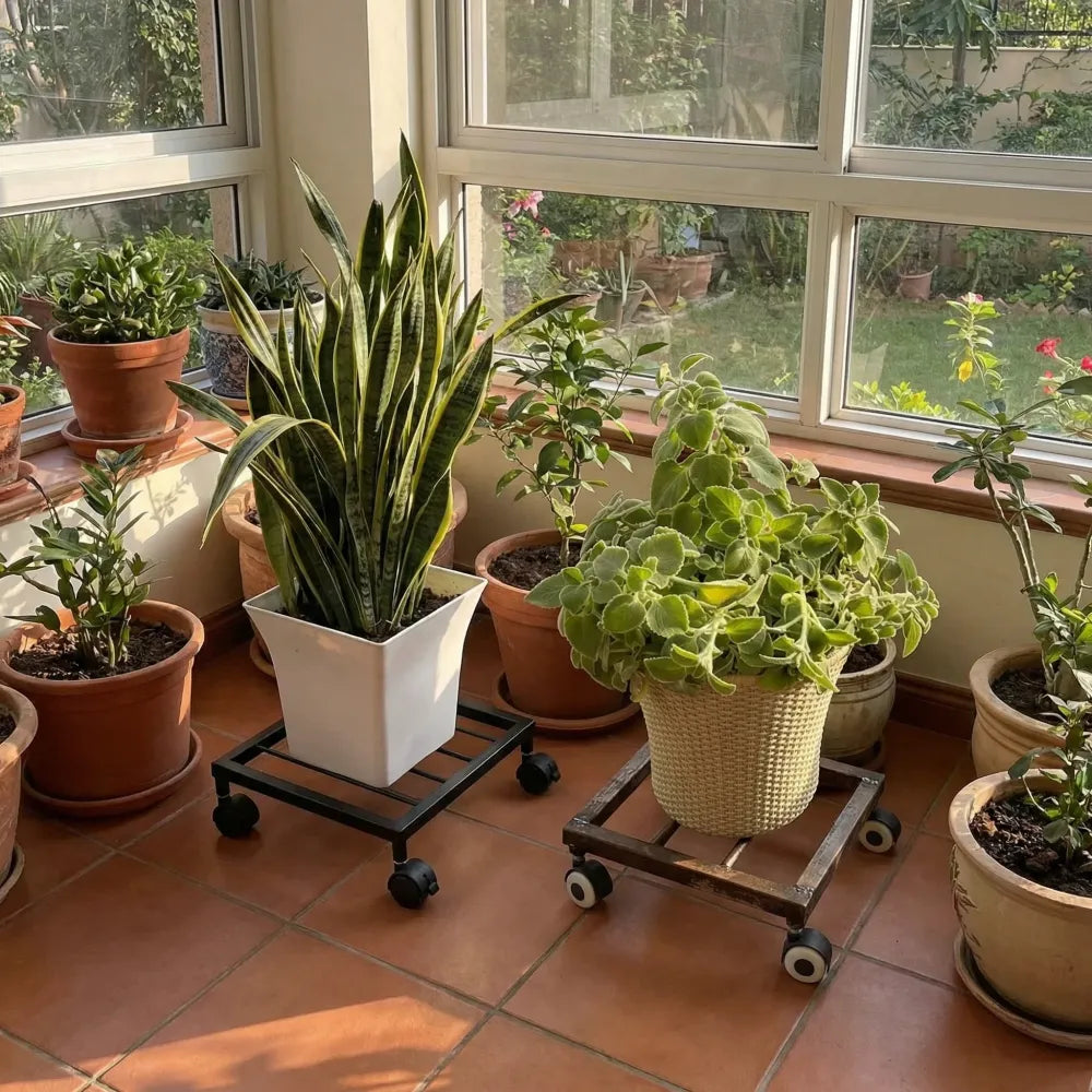 Plant caddy with wheels - home essentials