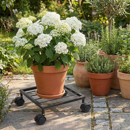 Plant caddy with wheels - home essentials
