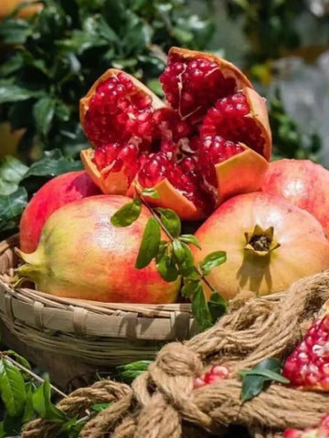 Pomegranate Seeds Pack of 2