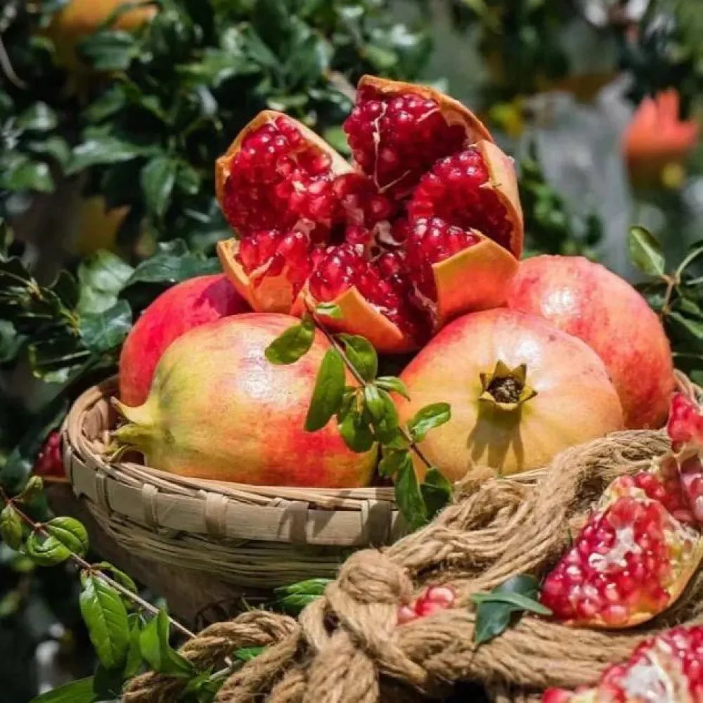 Pomegranate seeds pack of 2