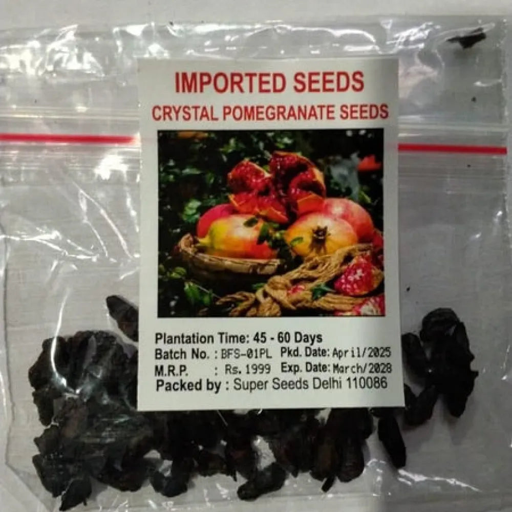Pomegranate seeds pack of 2