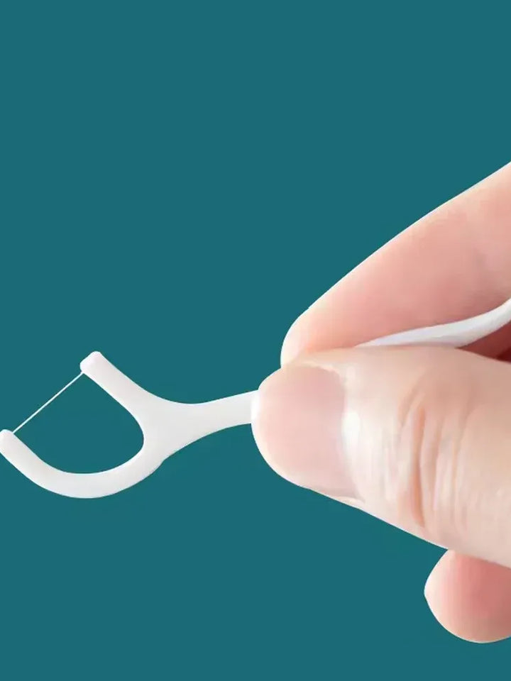 Portable Dental Floss Picks
