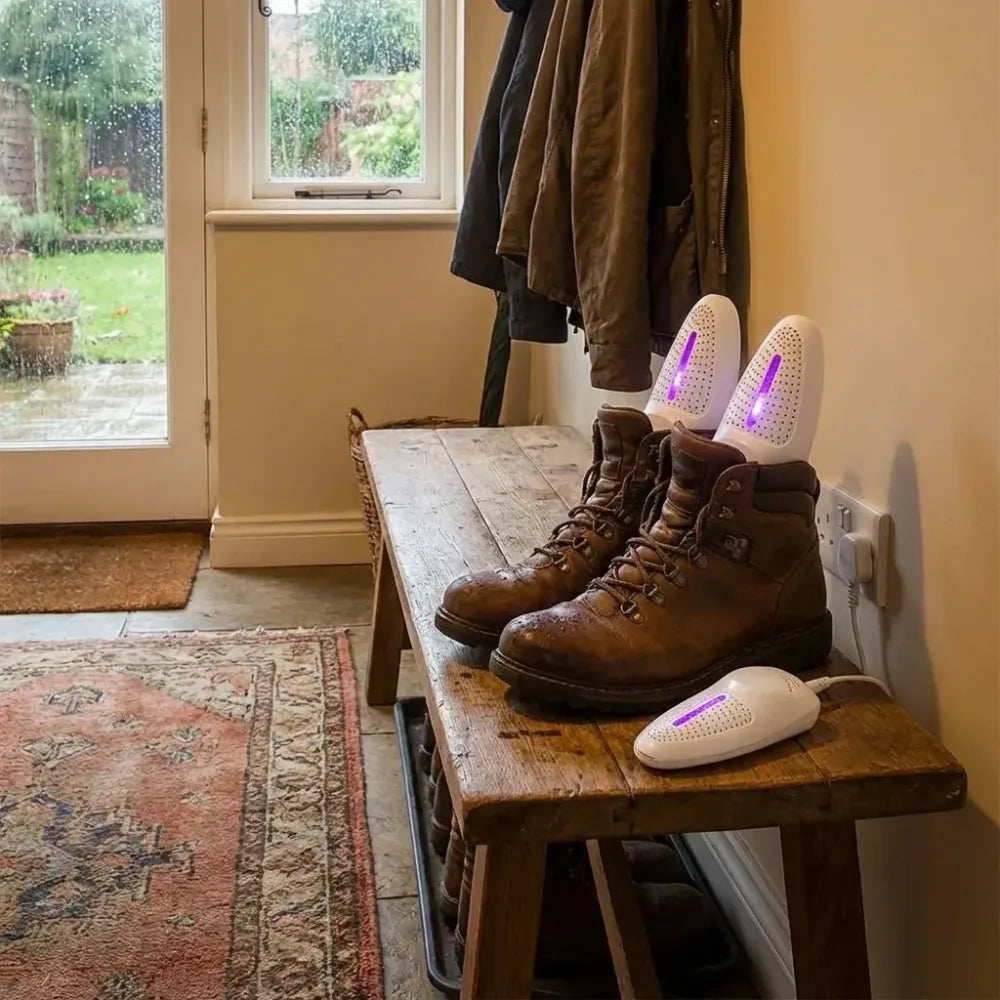 Portable shoe dryer