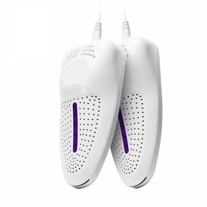 Portable shoe dryer