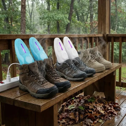 Portable shoe dryer