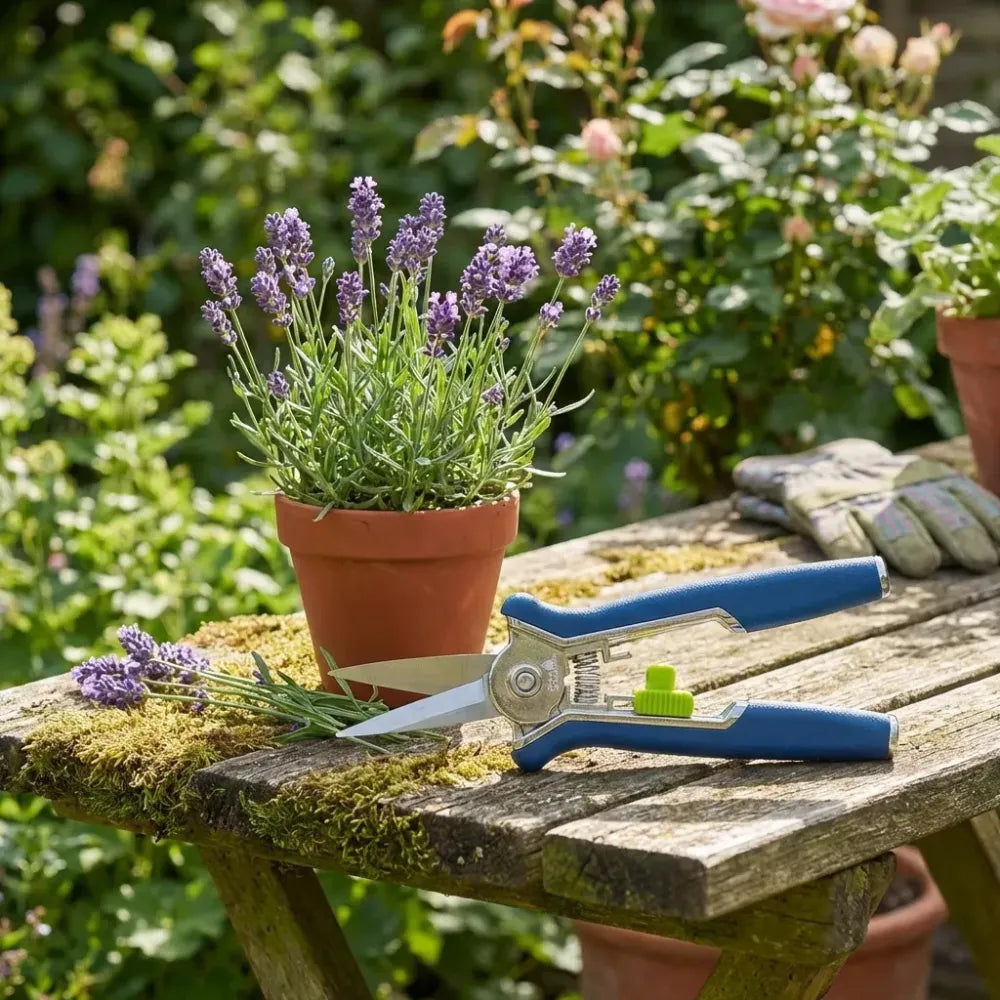 Precision micro garden snip pruning scissor