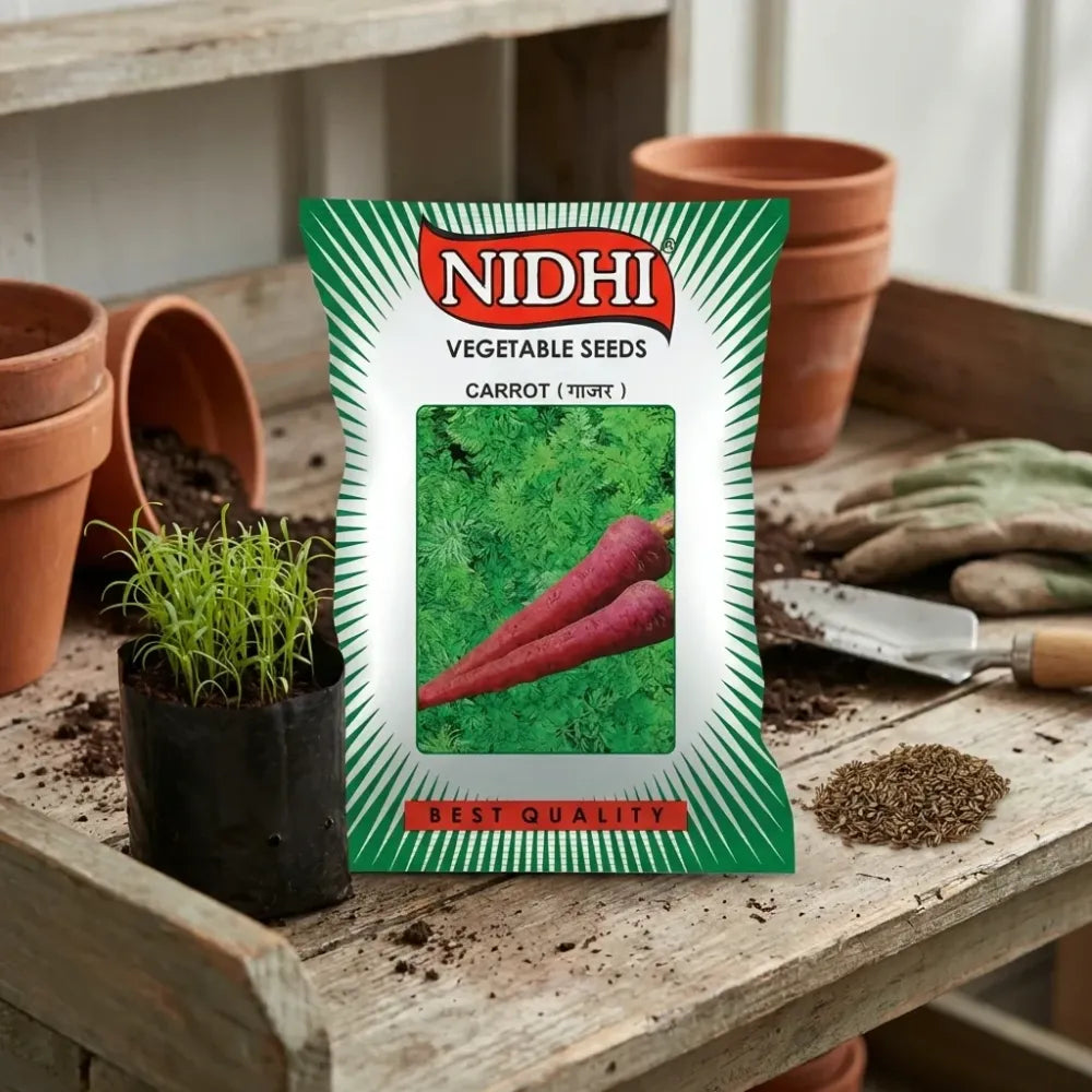 Premium carrot seeds (20) - gardening