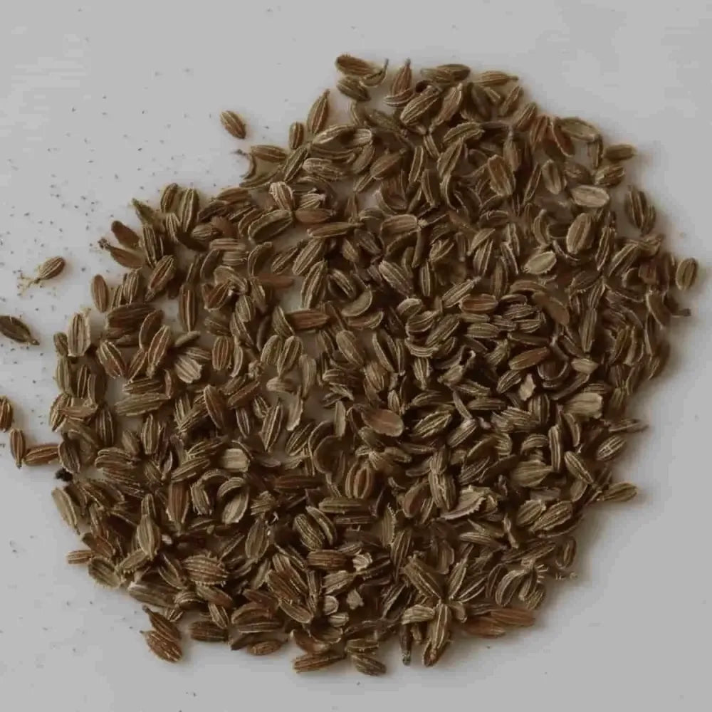 Premium carrot seeds (20) - gardening
