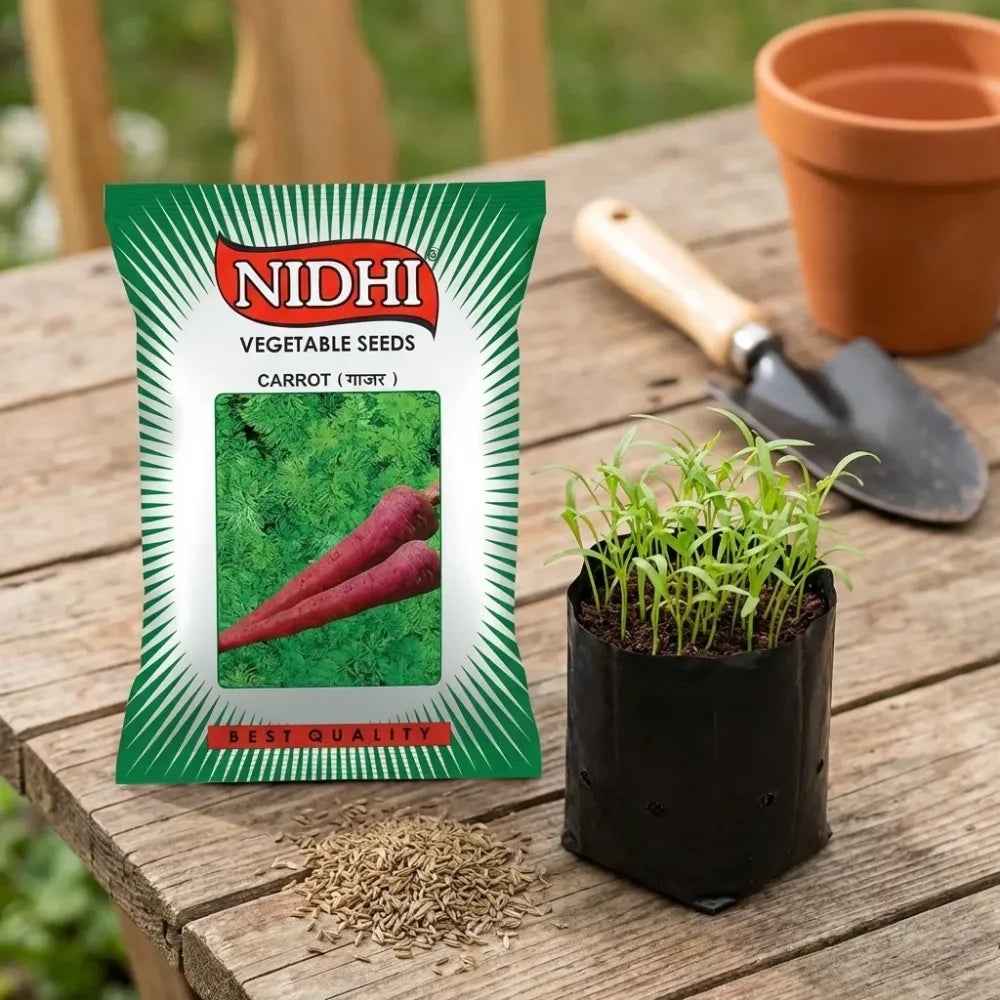 Premium carrot seeds (20) - gardening