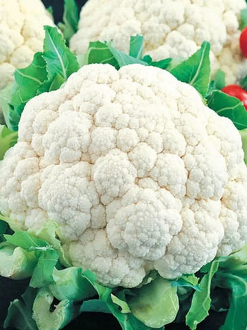 Premium Cauliflower Seeds (20)
