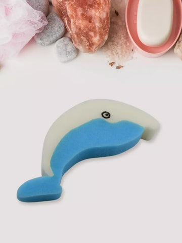 Premium Reusable Cleaning Sponge