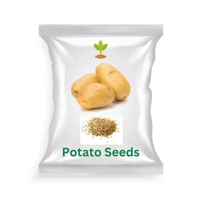 Premium seed potatoes