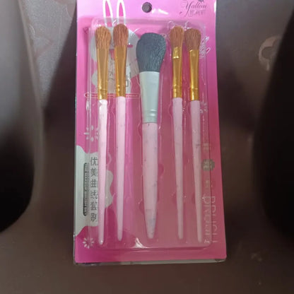 Pro makeup brush kit - health care