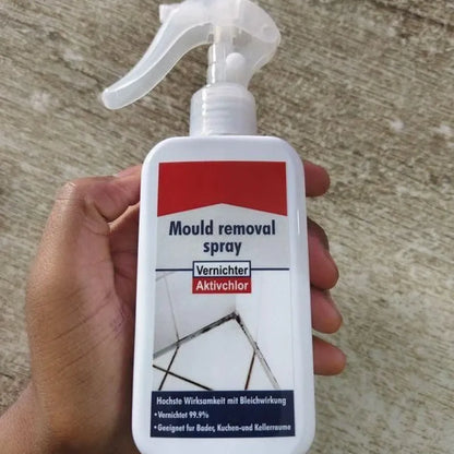 Pro-strength mold killer