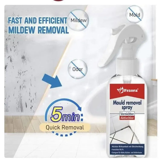 Pro-strength mold killer