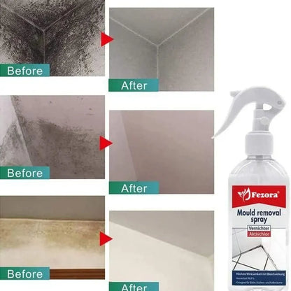 Pro-strength mold killer