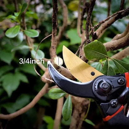 Professional bypass pruners - garden