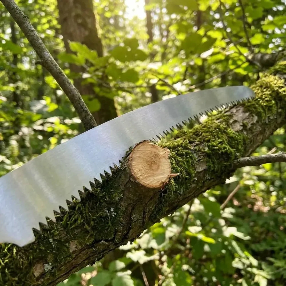 Professional pruning saw - power & hand tools