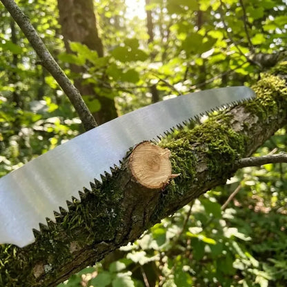 Professional pruning saw - power & hand tools