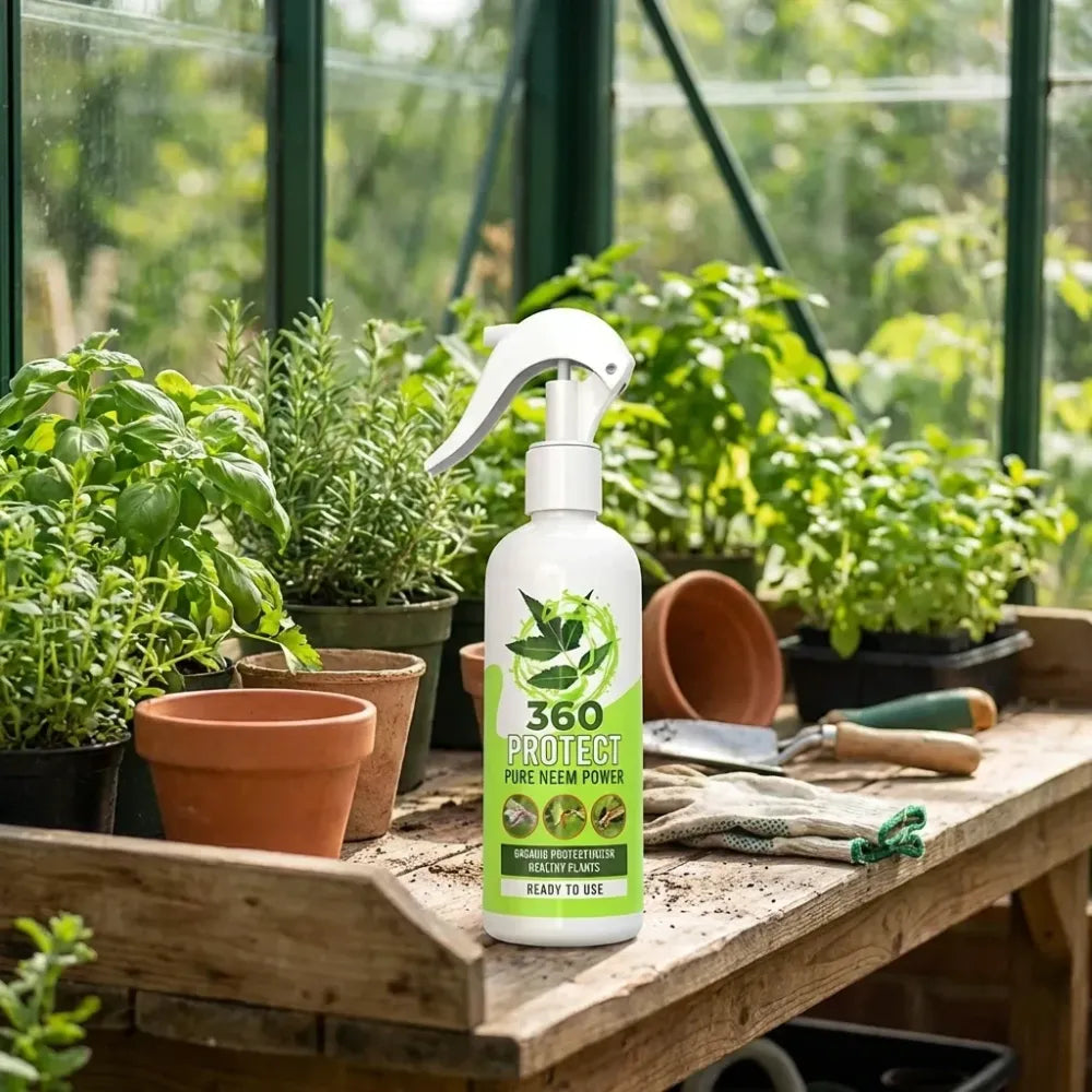 Pure neem plant spray – pack of 2