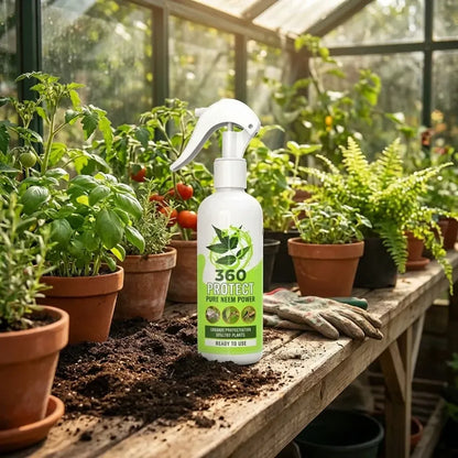 Pure neem plant spray – pack of 2