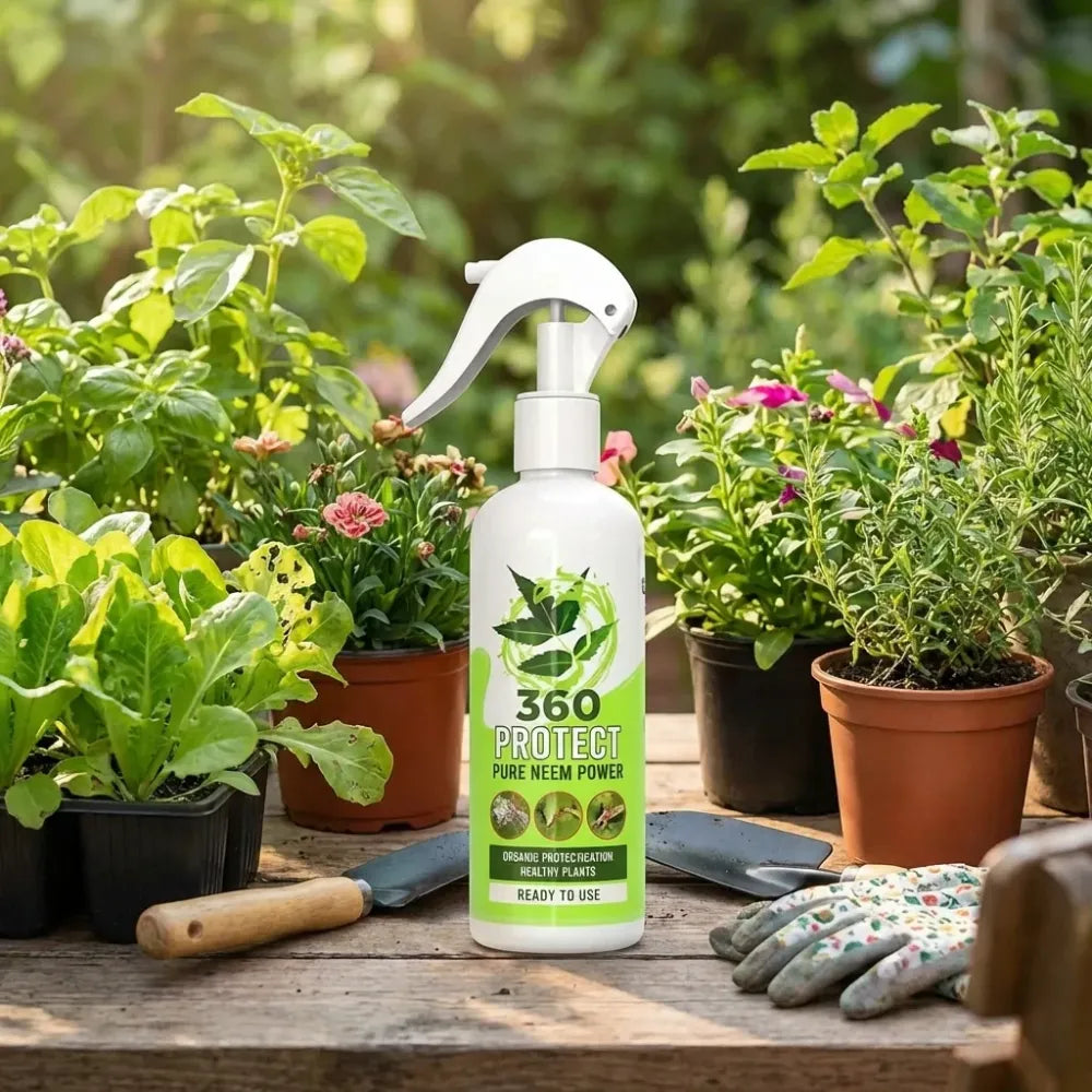 Pure neem plant spray – pack of 2