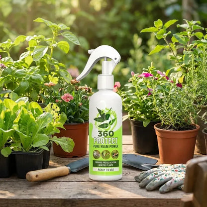 Pure neem plant spray – pack of 2