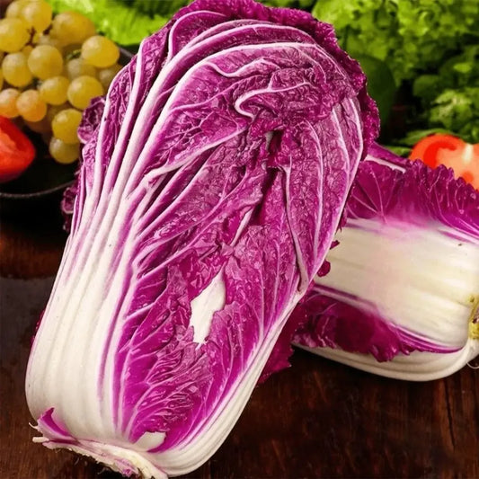 Purple cabbage seeds