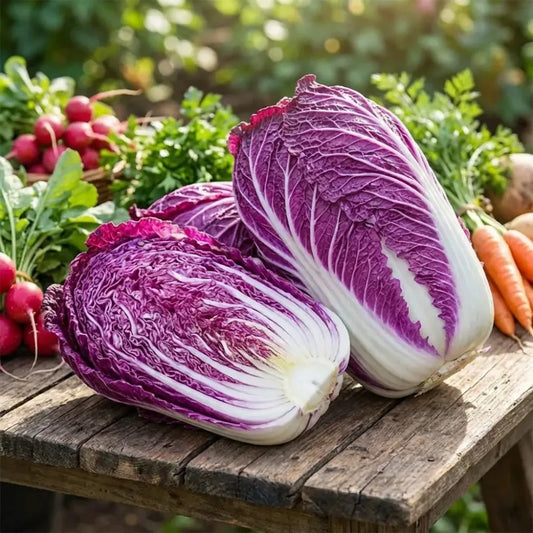 Purple cabbage seeds