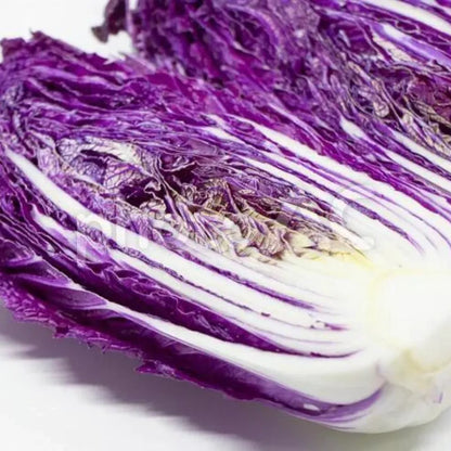 Purple cabbage seeds