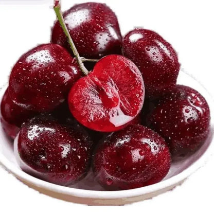 Rainier cherry seeds pack - gardening
