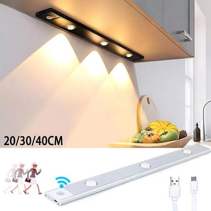 Rechargeable motion sensor light