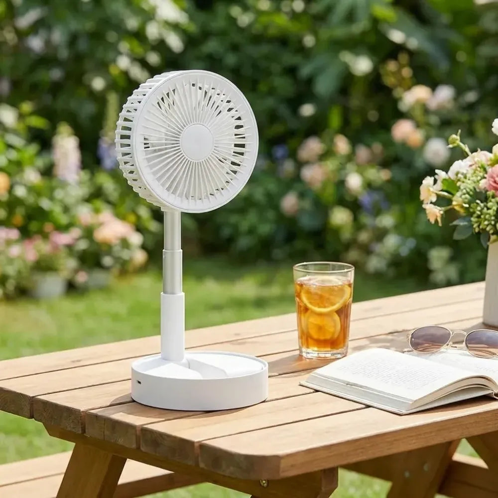 Rechargeable table/wall fan